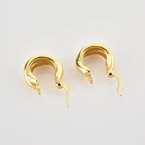 Sena Earring