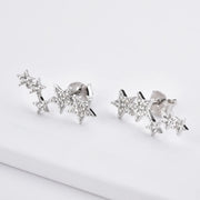 Natura Silver Earring